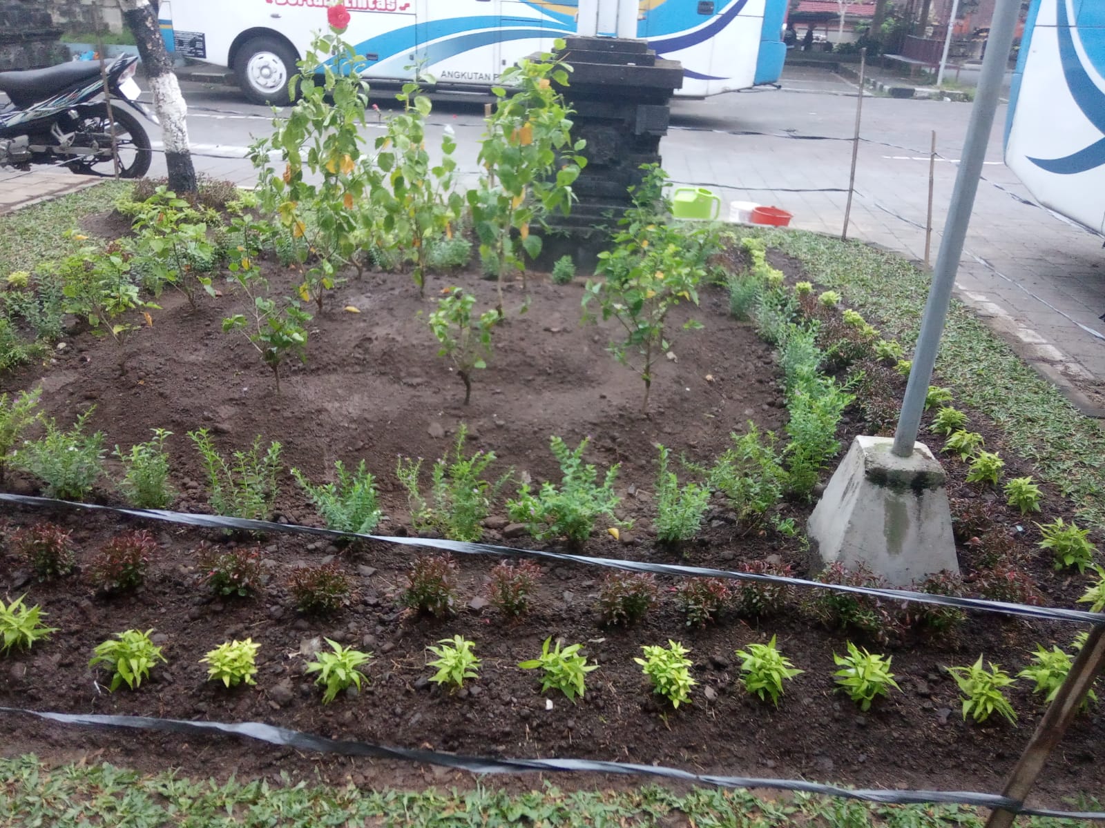 Pembuatan taman Pucuk Bang
